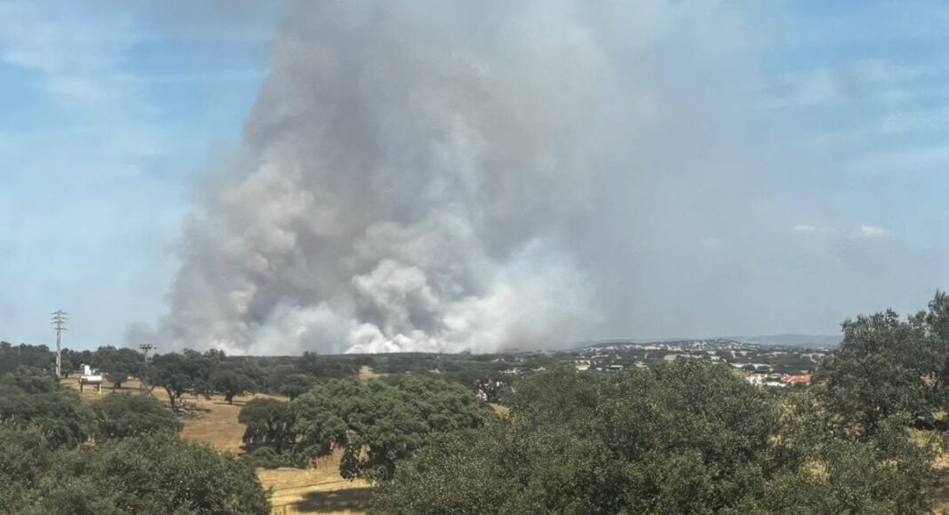 Incêndio em Moura consumiu cerca de 700 hectares na zona do Monte da Negrita
